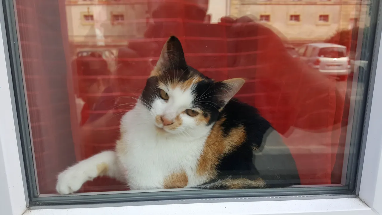Avranches & Caen & Paris, France