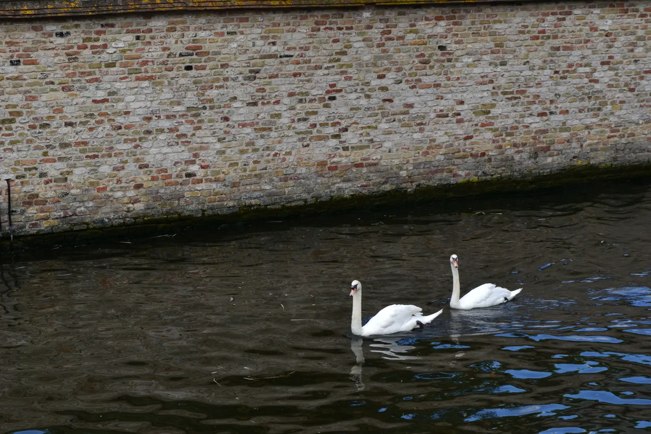 Belgium & Amsterdam 2016