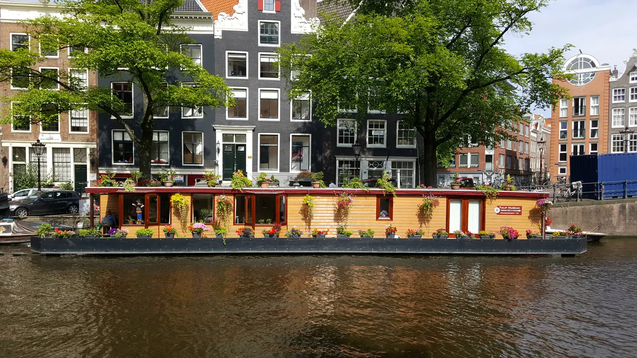 Belgium & Amsterdam 2016