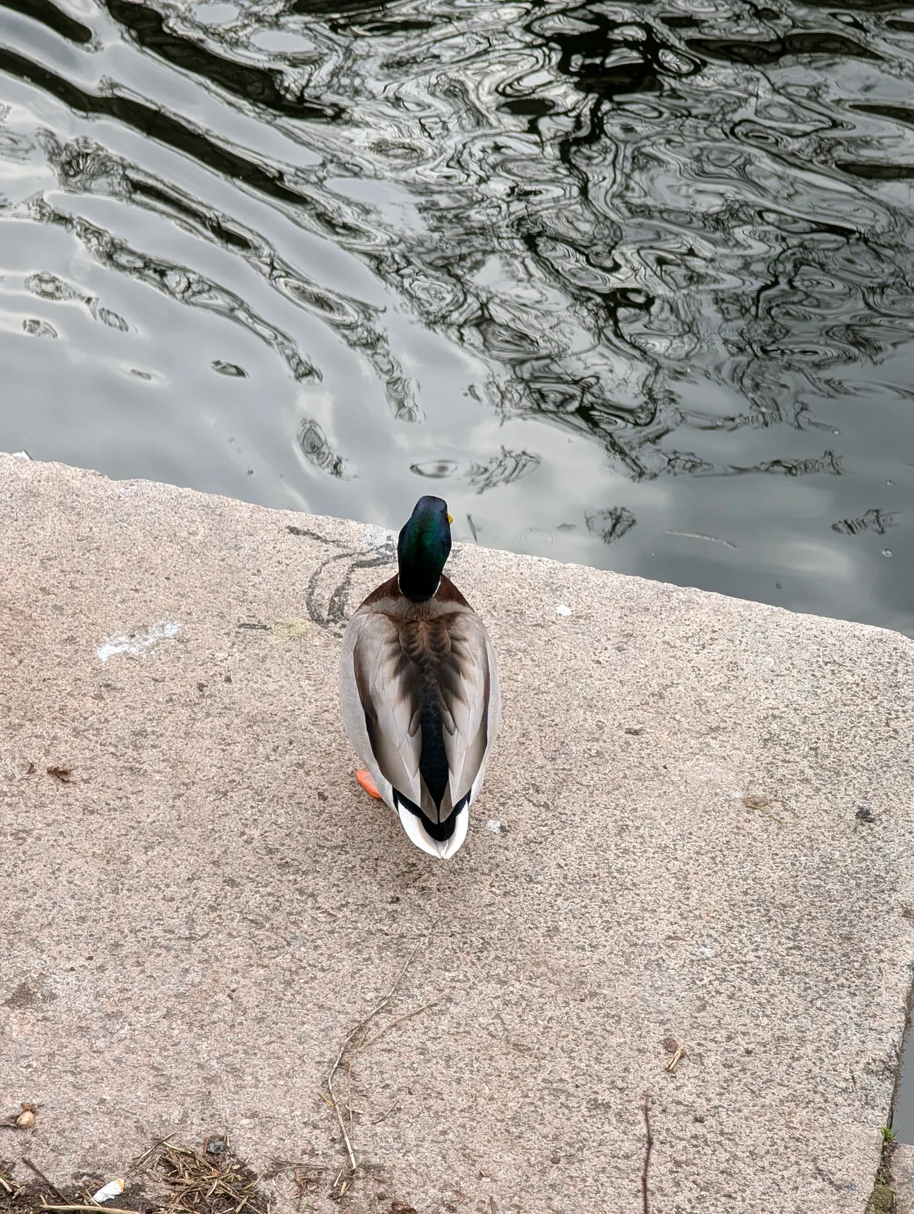 Berlin, Germany