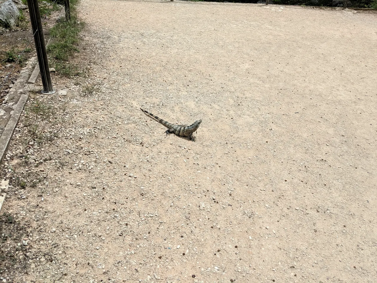 Cancun 2019