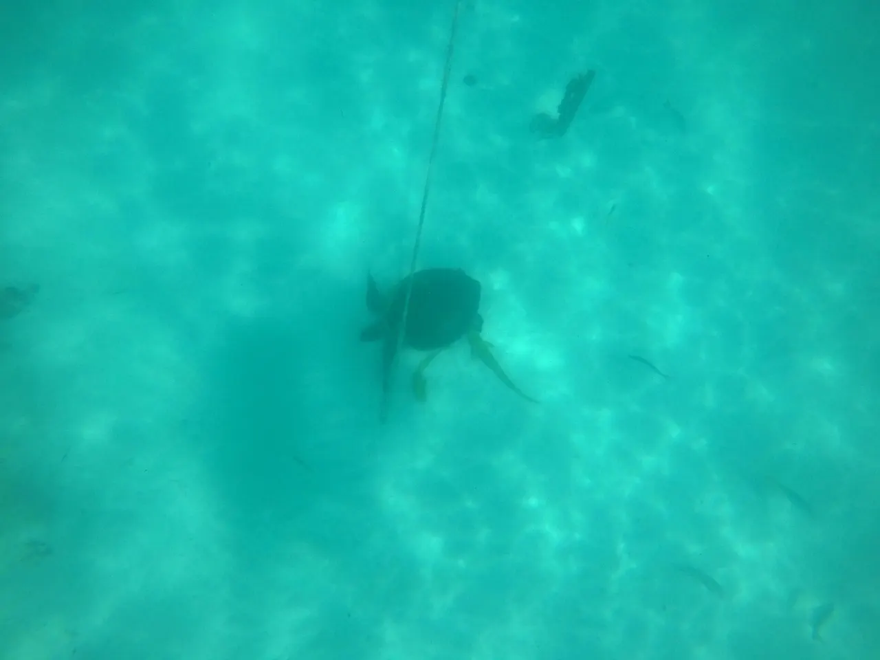 Cancun 2019