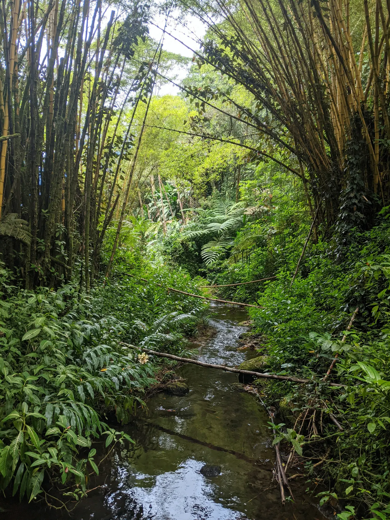 Hawaii