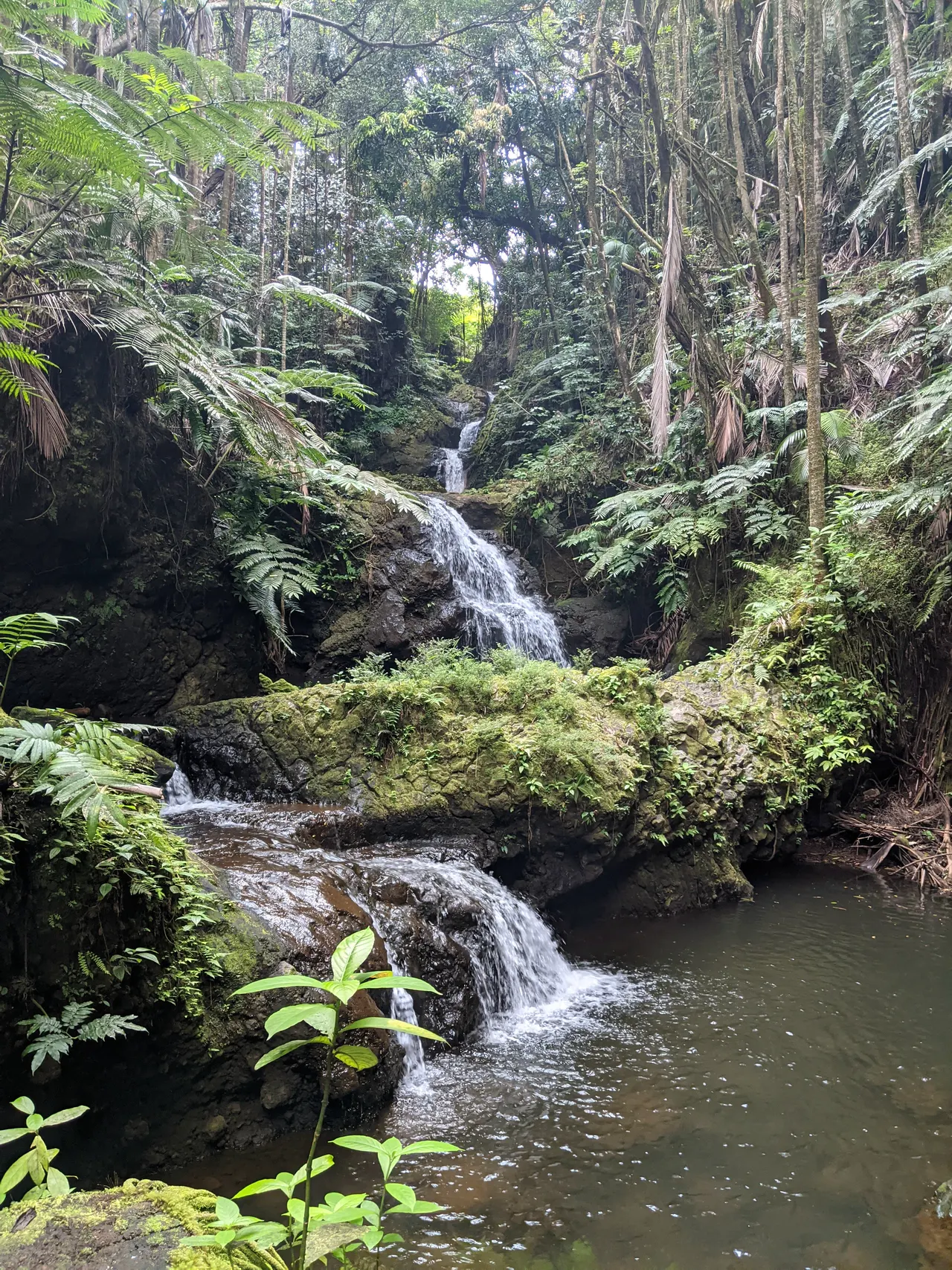 Hawaii
