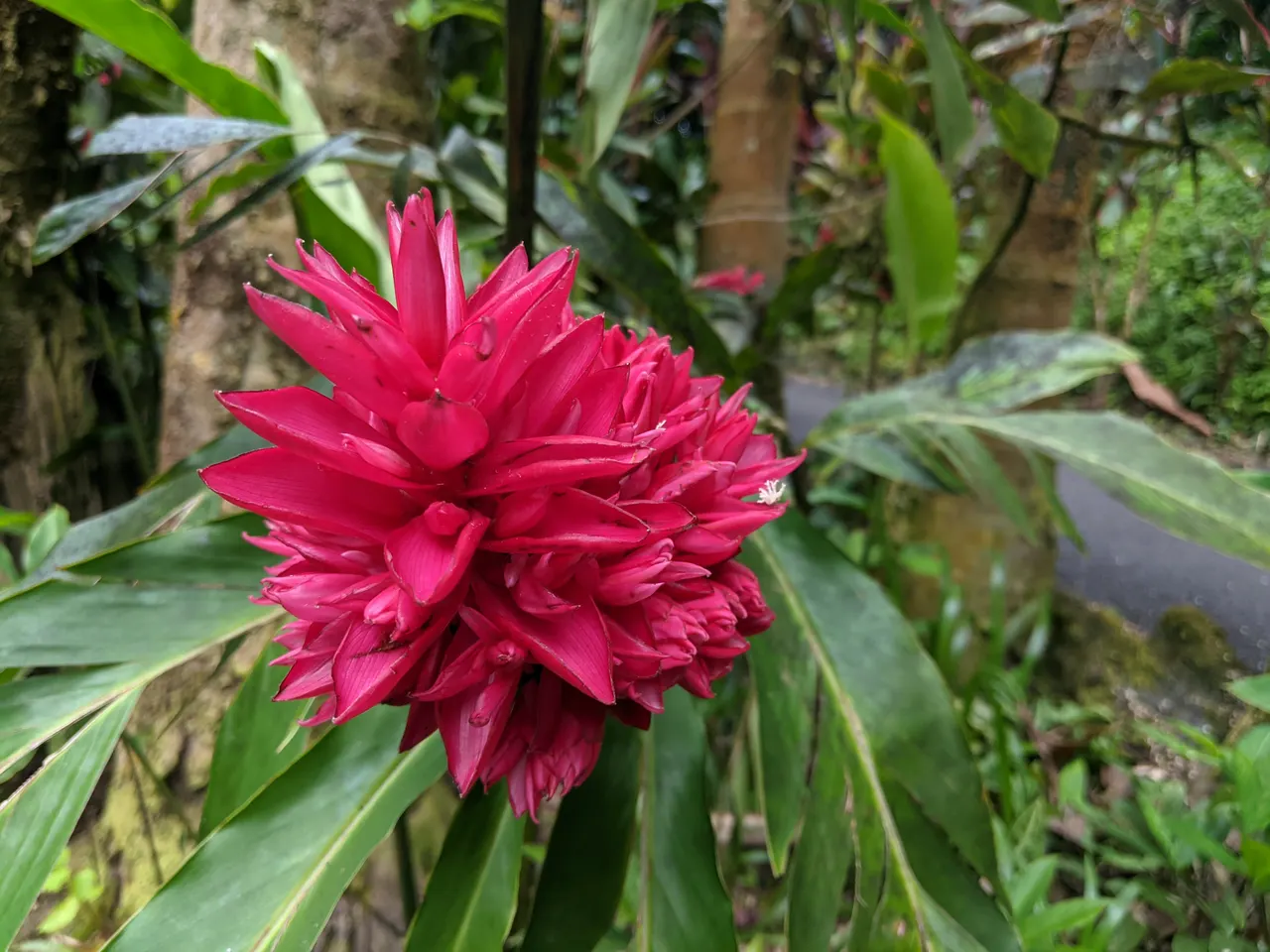 Hawaii