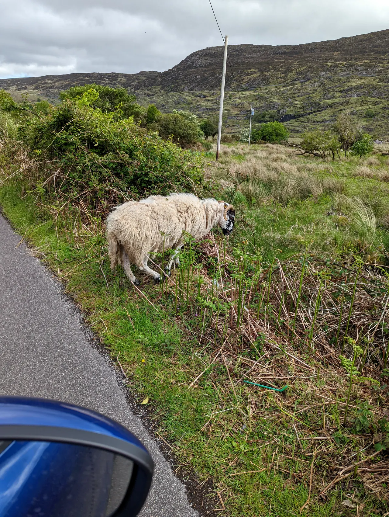 Ireland
