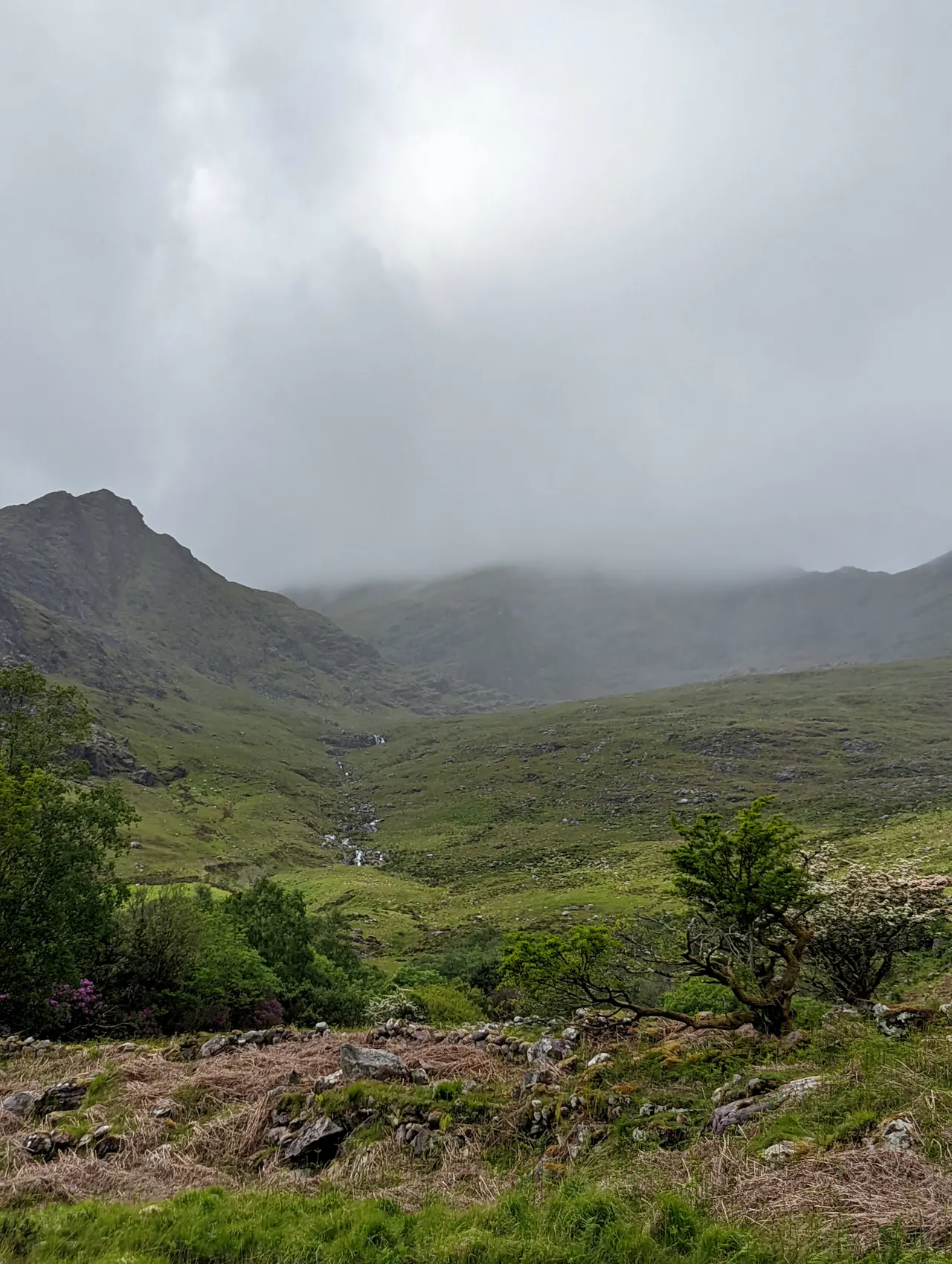 Ireland