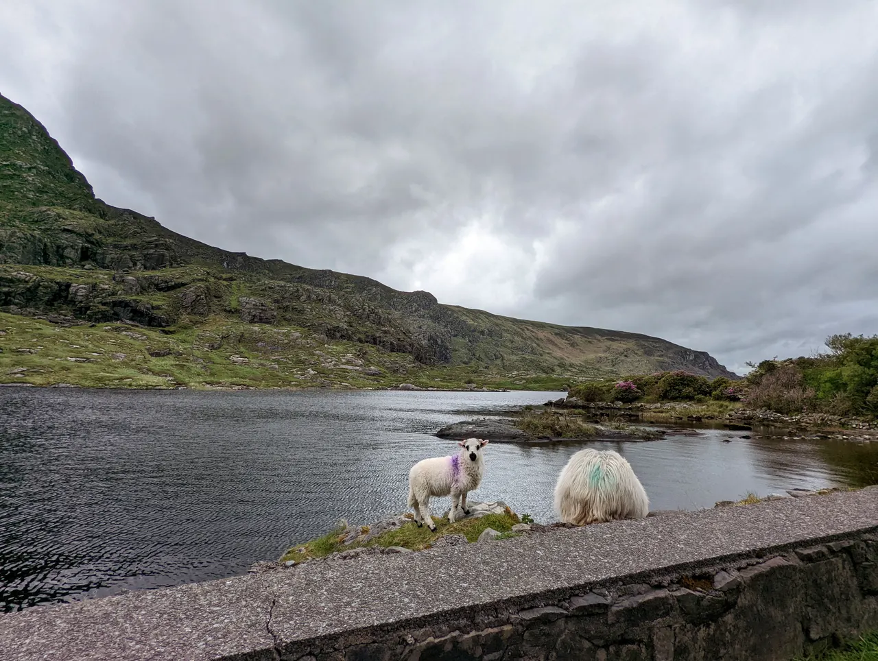 Ireland