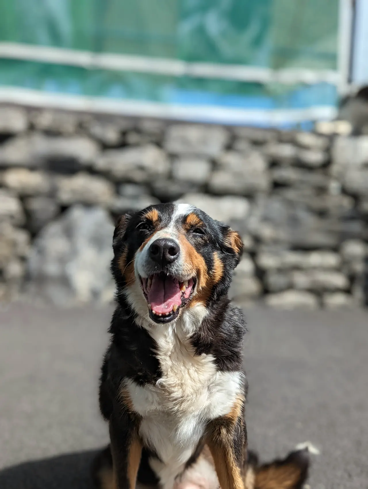 Ireland