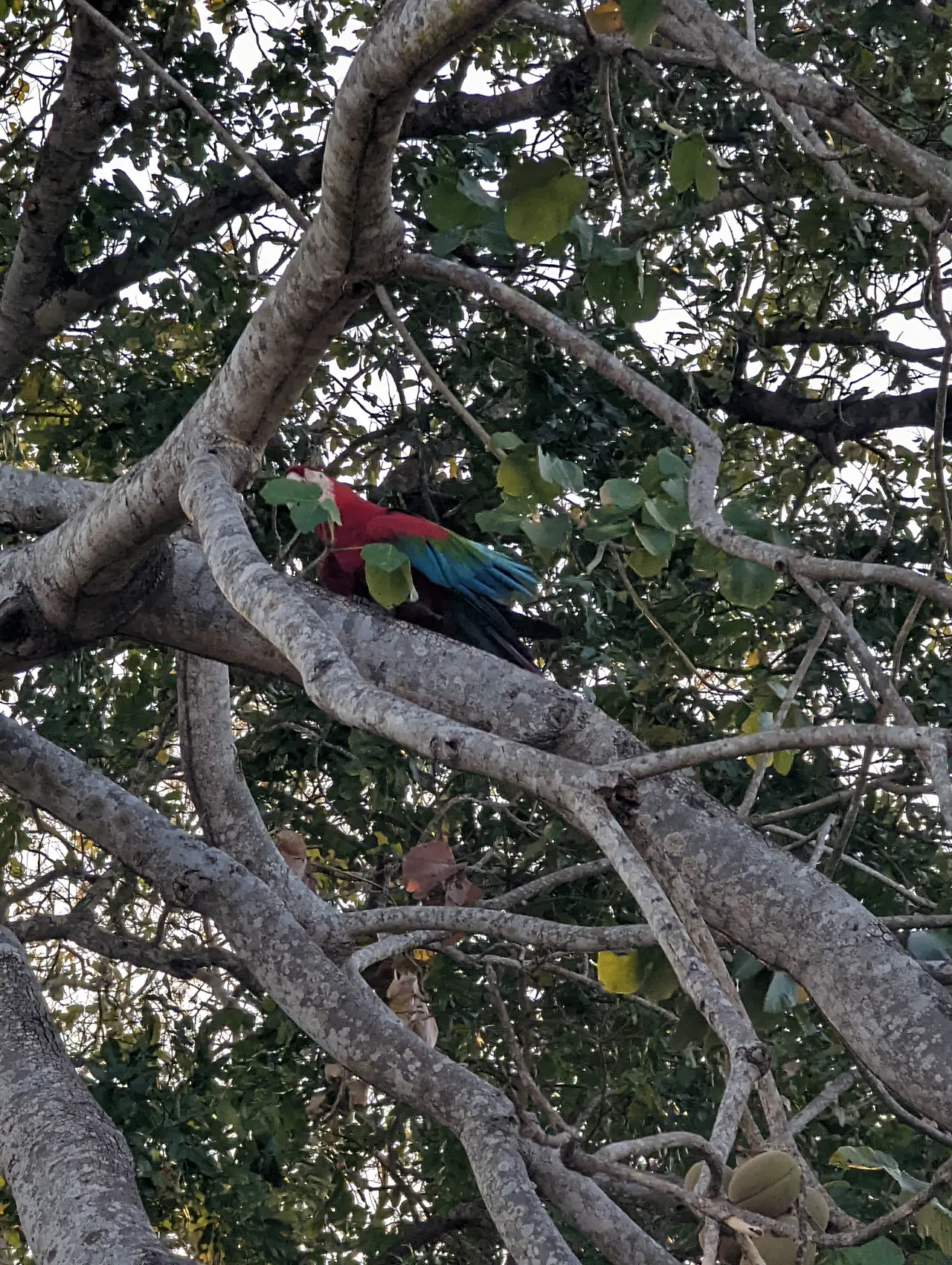 Miranda & Florianópolis, Brazil