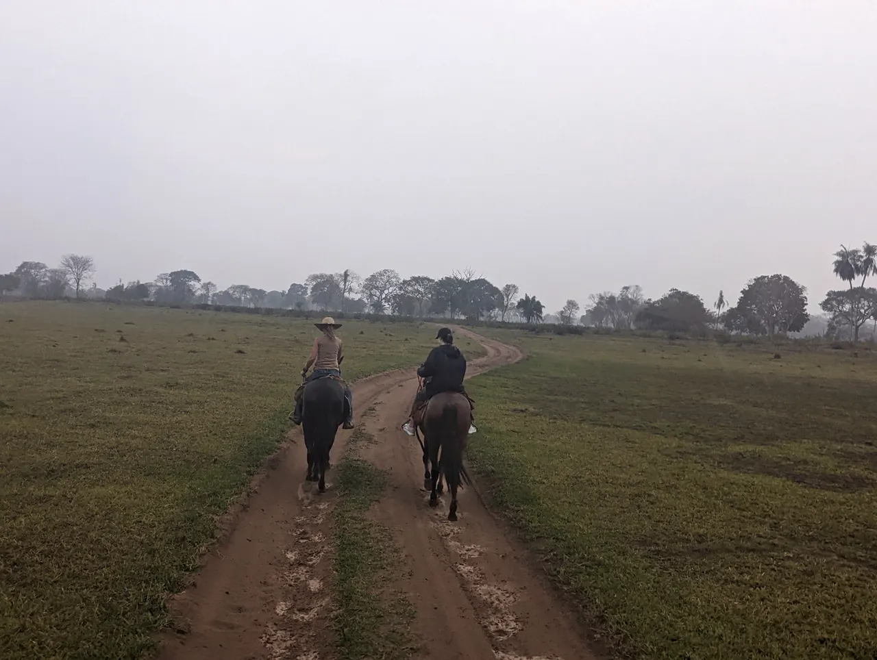 Miranda & Florianópolis, Brazil