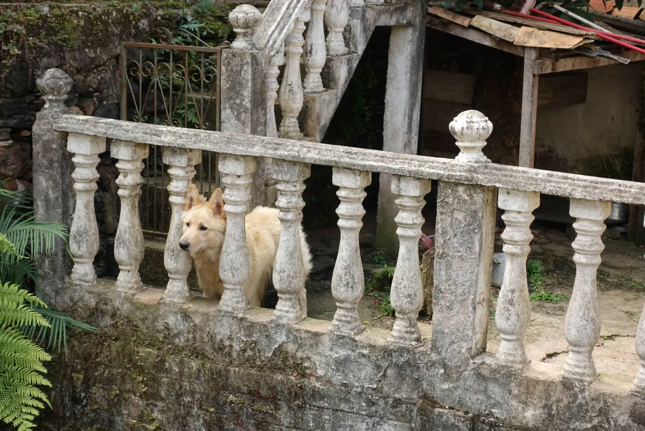 Ouro Preto & Belo Horizonte, Brazil