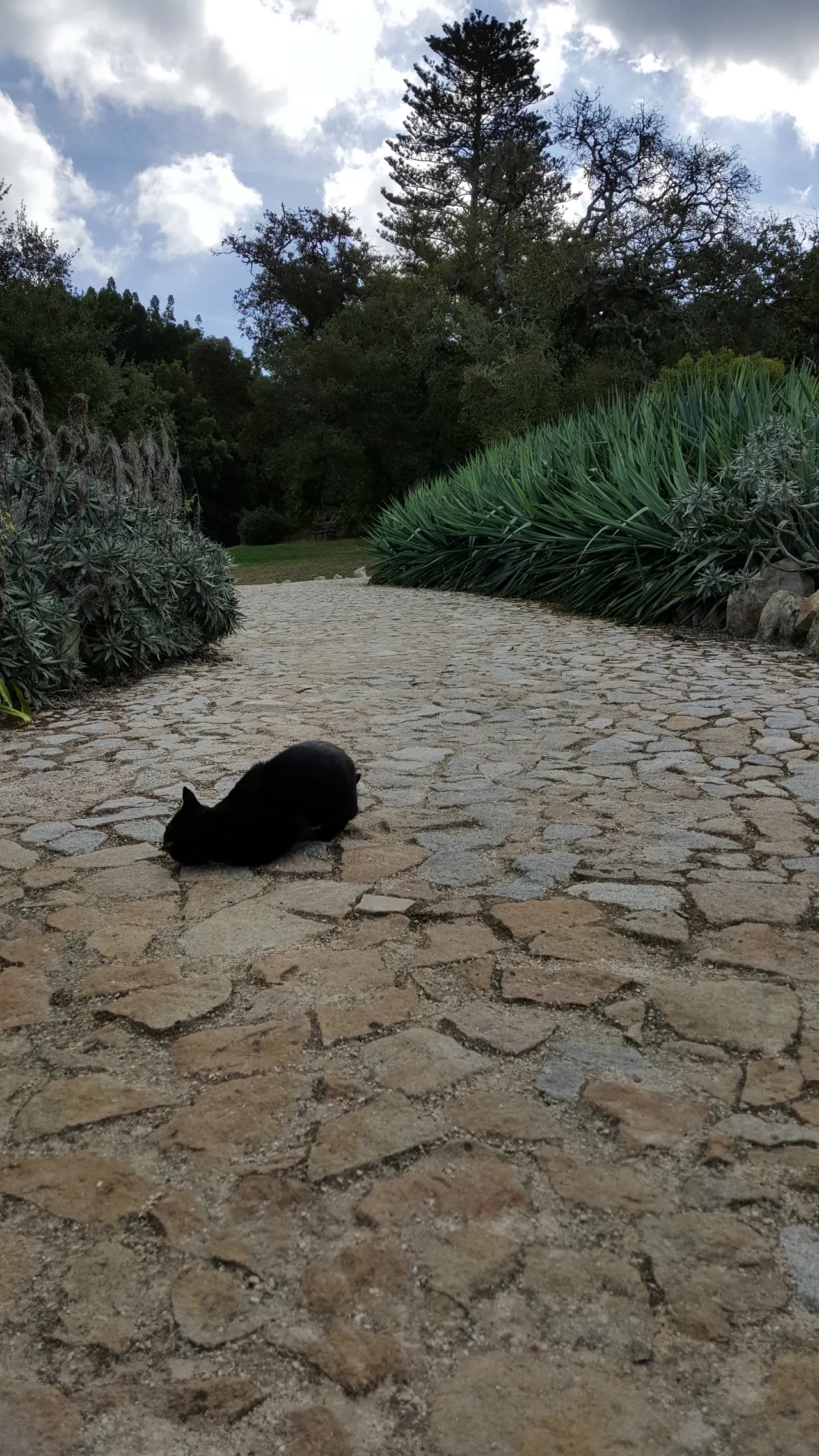 Portugal 2015