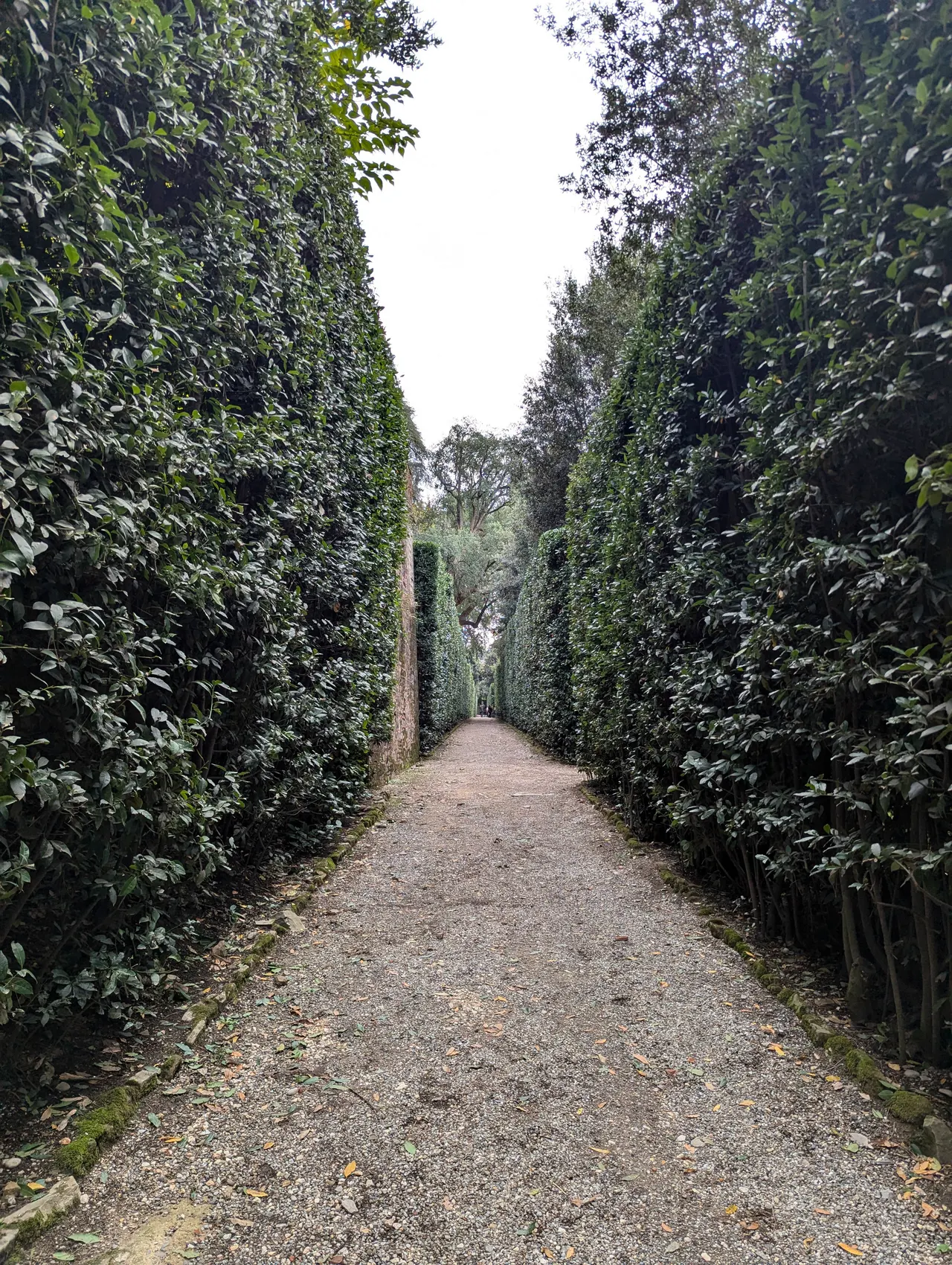 Rome, Italy & Málaga, Spain