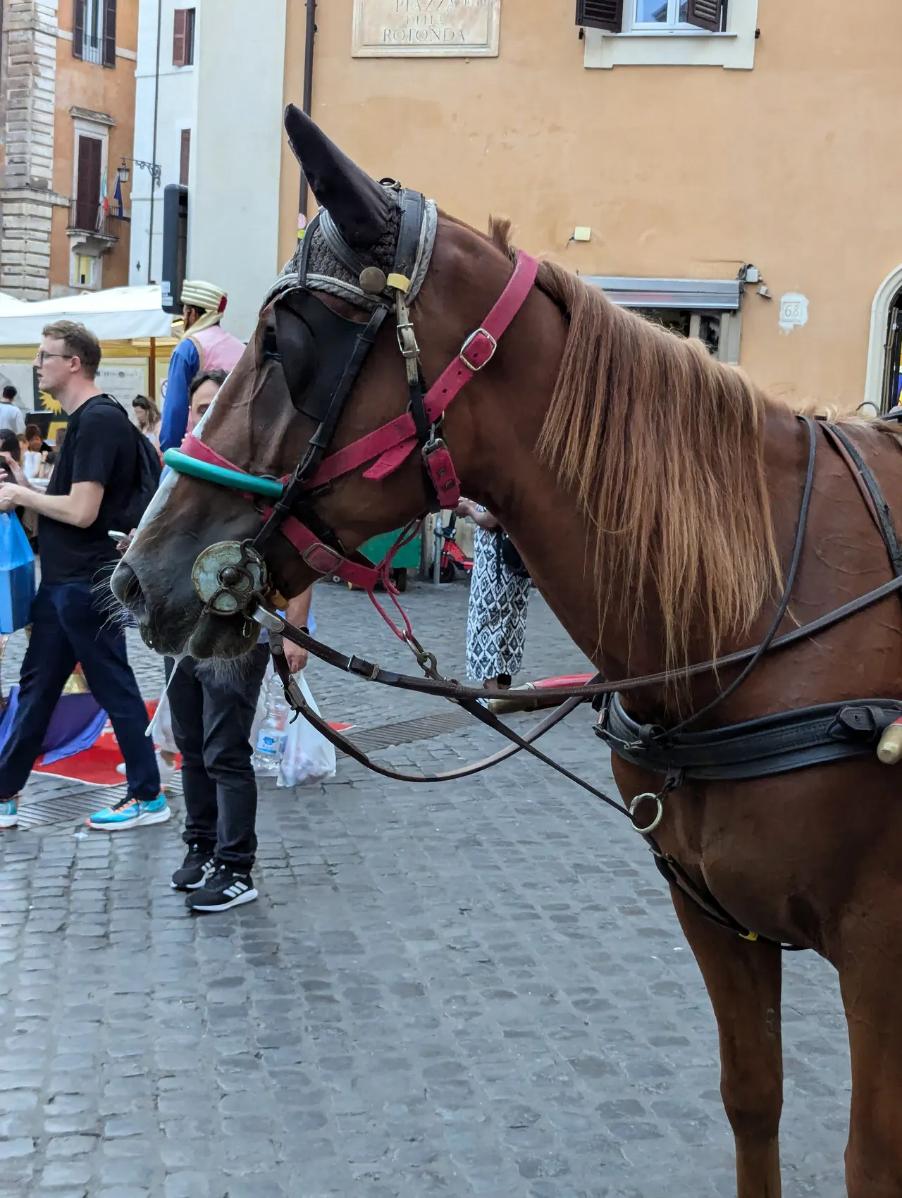 Rome, Italy & Málaga, Spain