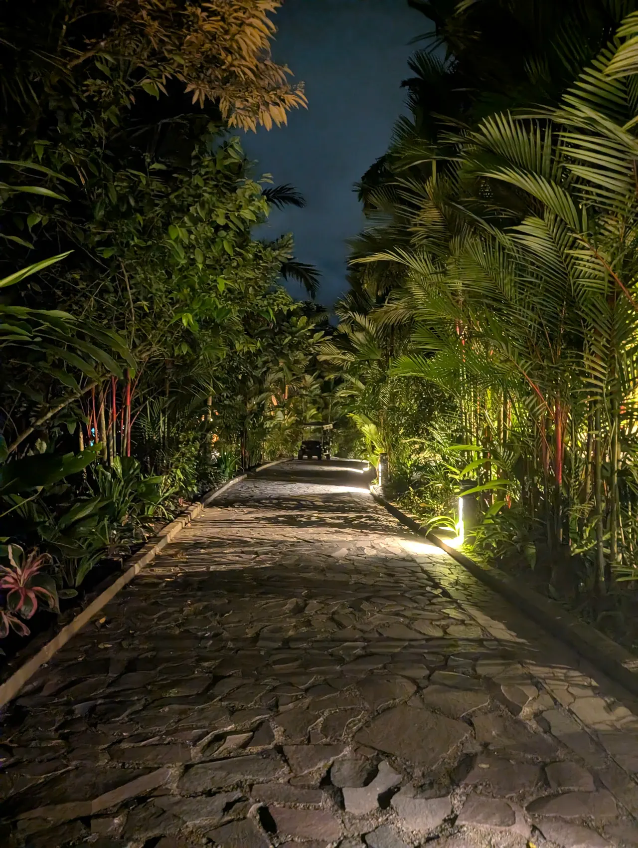 San José & San Isidro & Quesada, Costa Rica