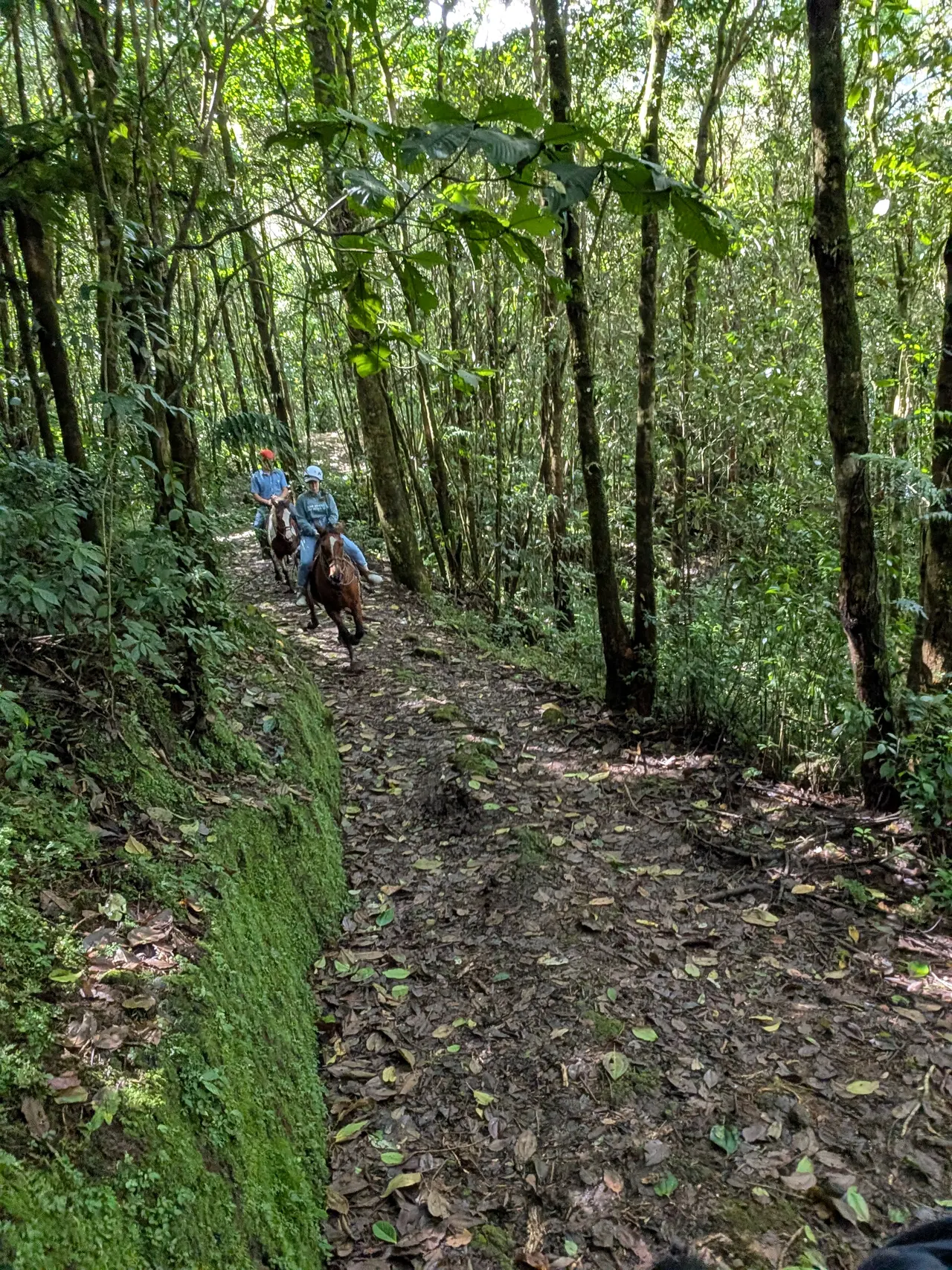 San José & San Isidro & Quesada, Costa Rica