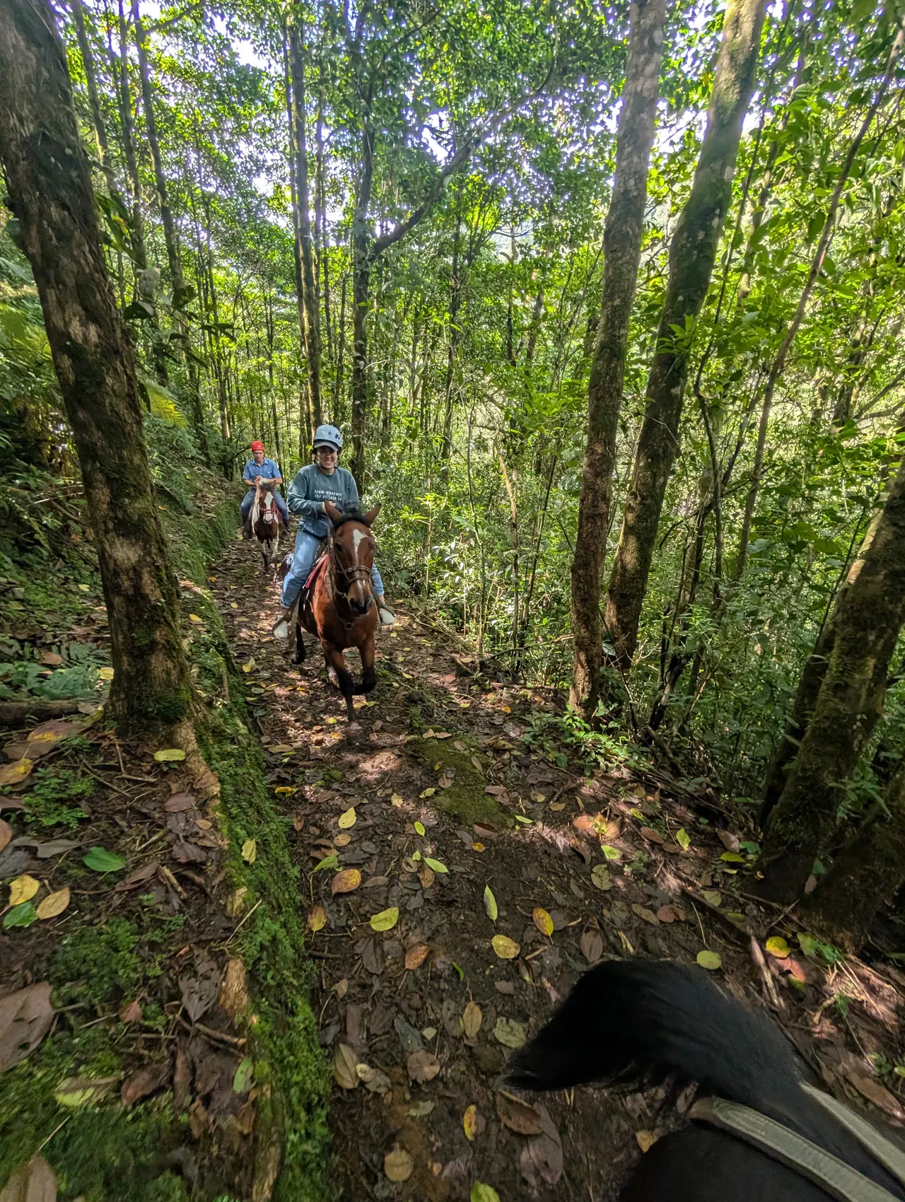 San José & San Isidro & Quesada, Costa Rica