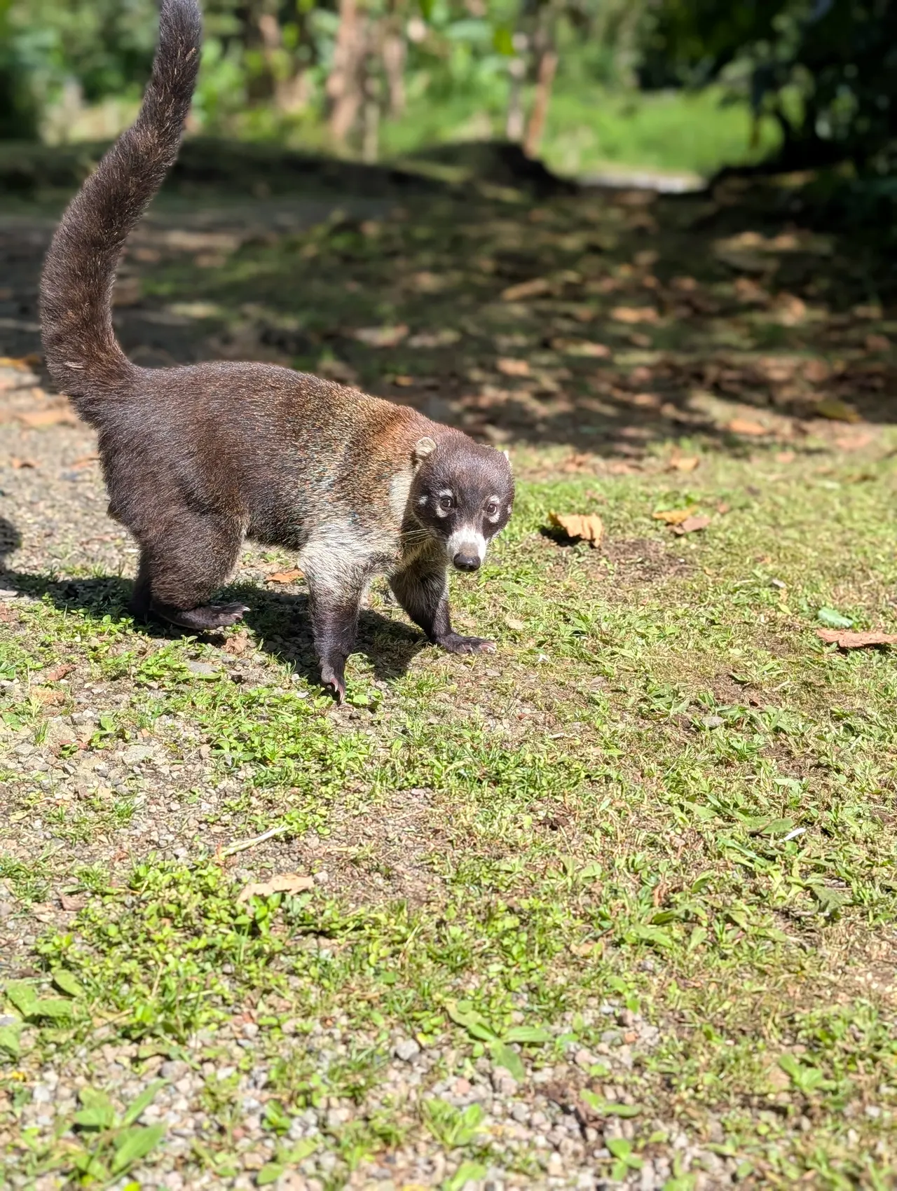 San José & San Isidro & Quesada, Costa Rica