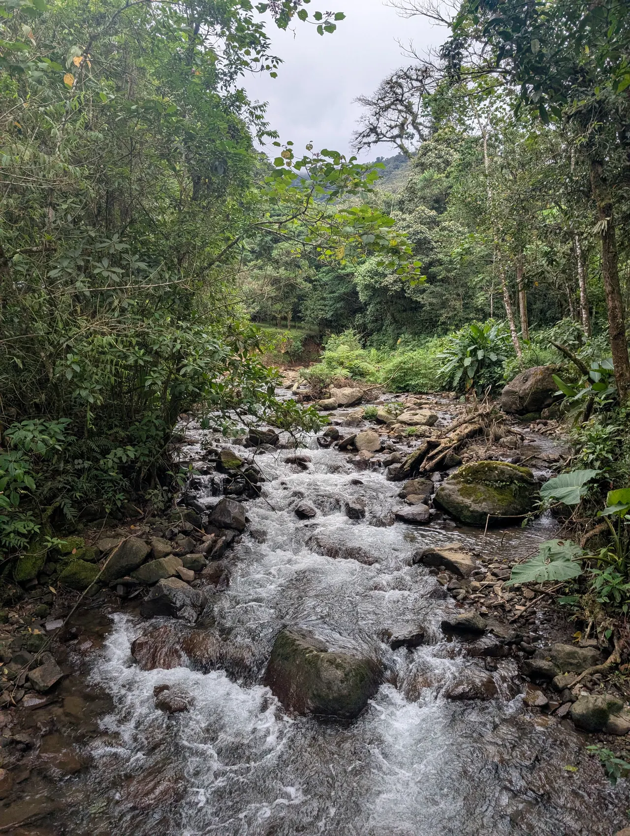 San José & San Isidro & Quesada, Costa Rica