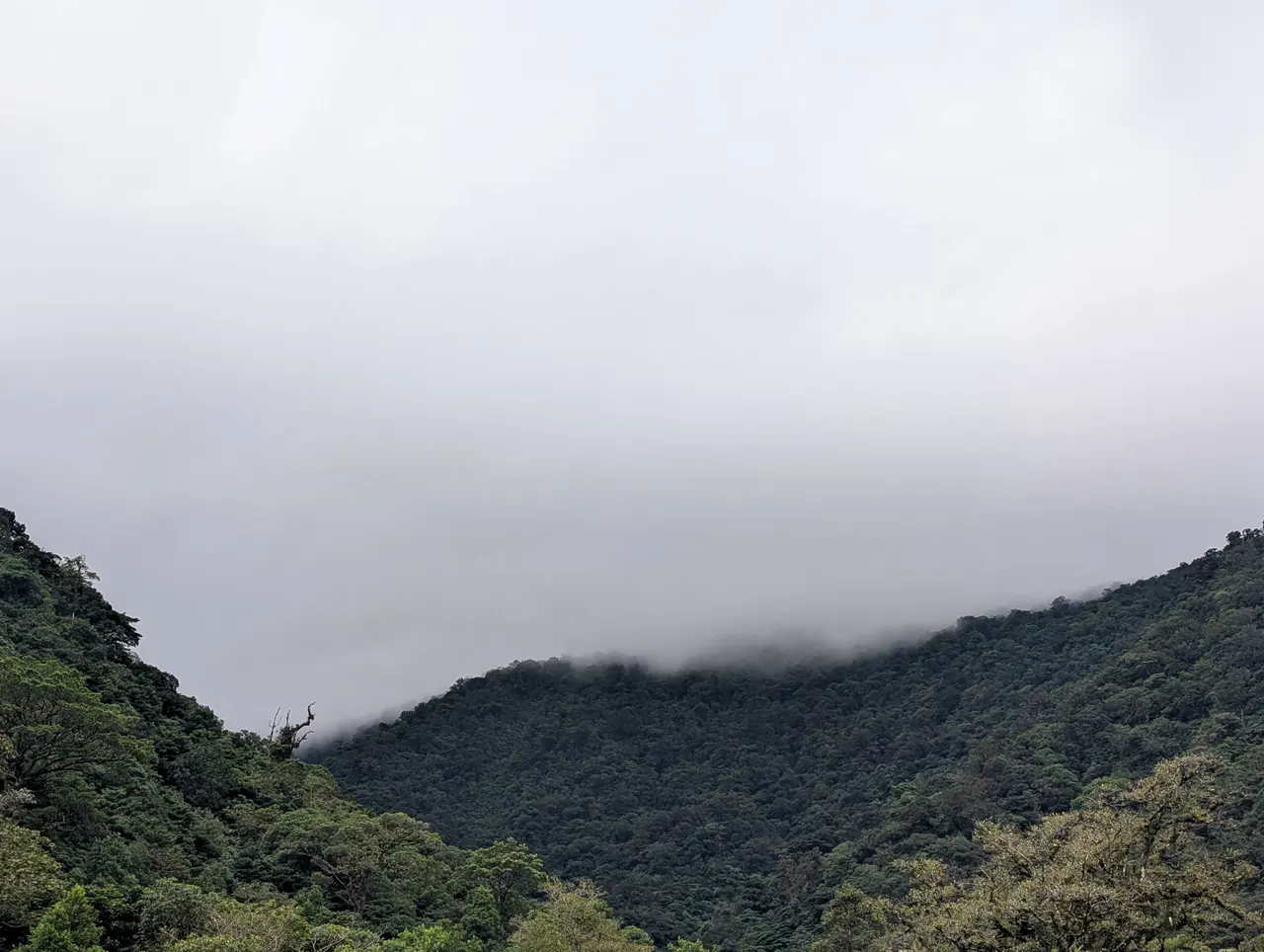 San José & San Isidro & Quesada, Costa Rica