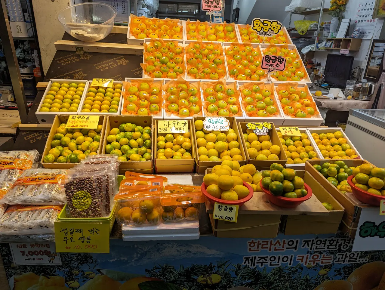 Seoul & Seogwipo & Gyeongju, South Korea