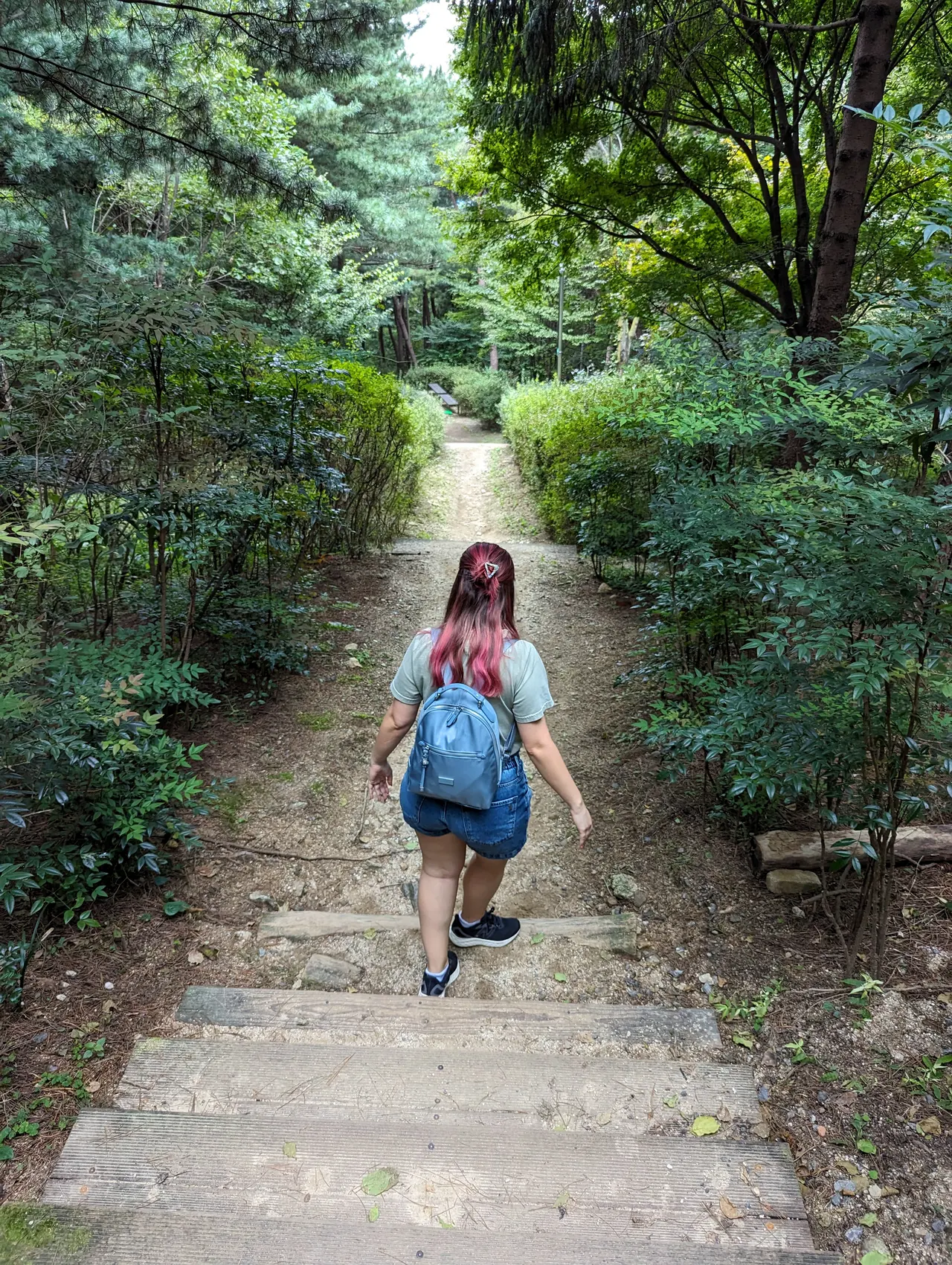 Seoul & Seogwipo & Gyeongju, South Korea