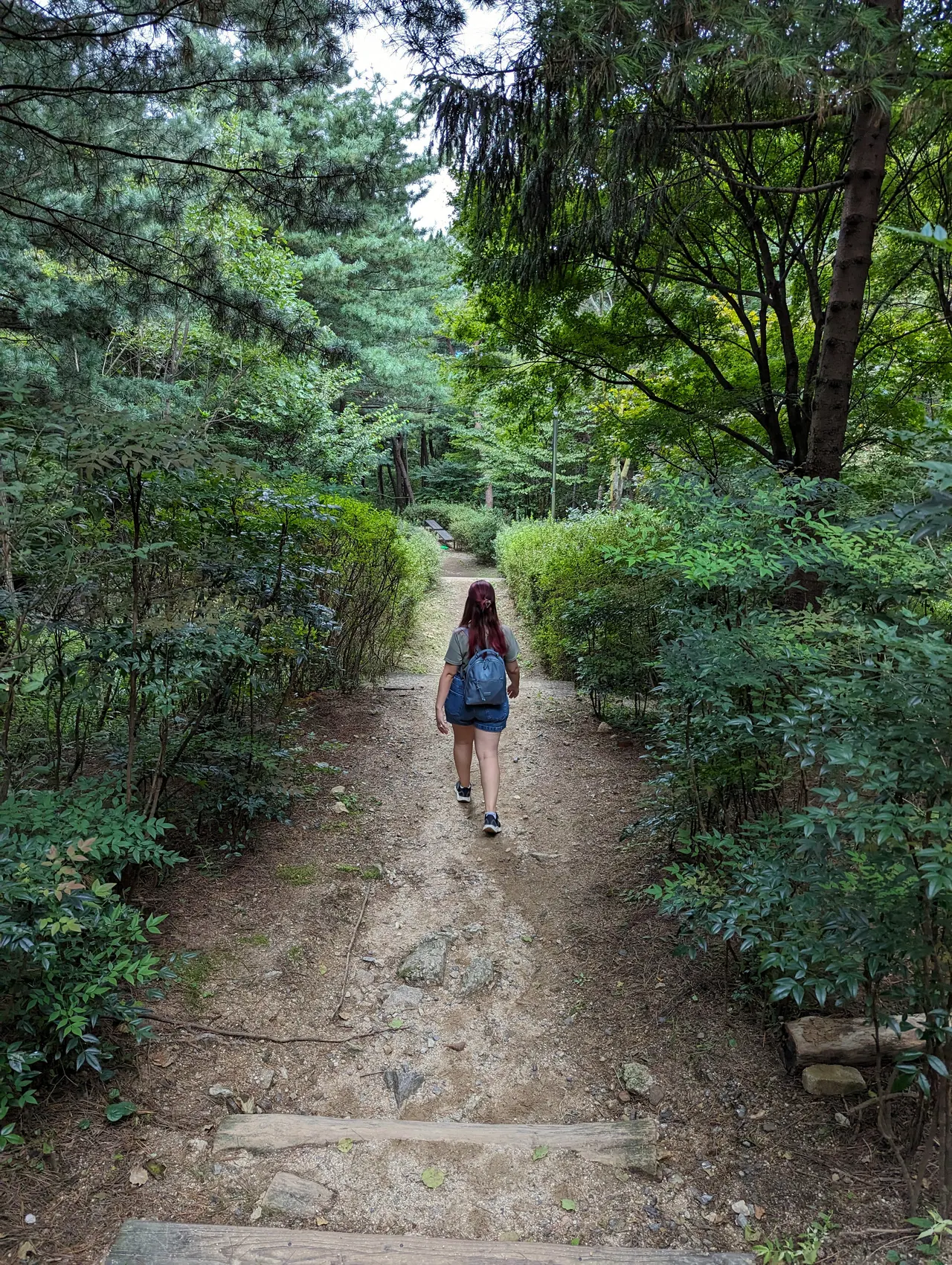Seoul & Seogwipo & Gyeongju, South Korea