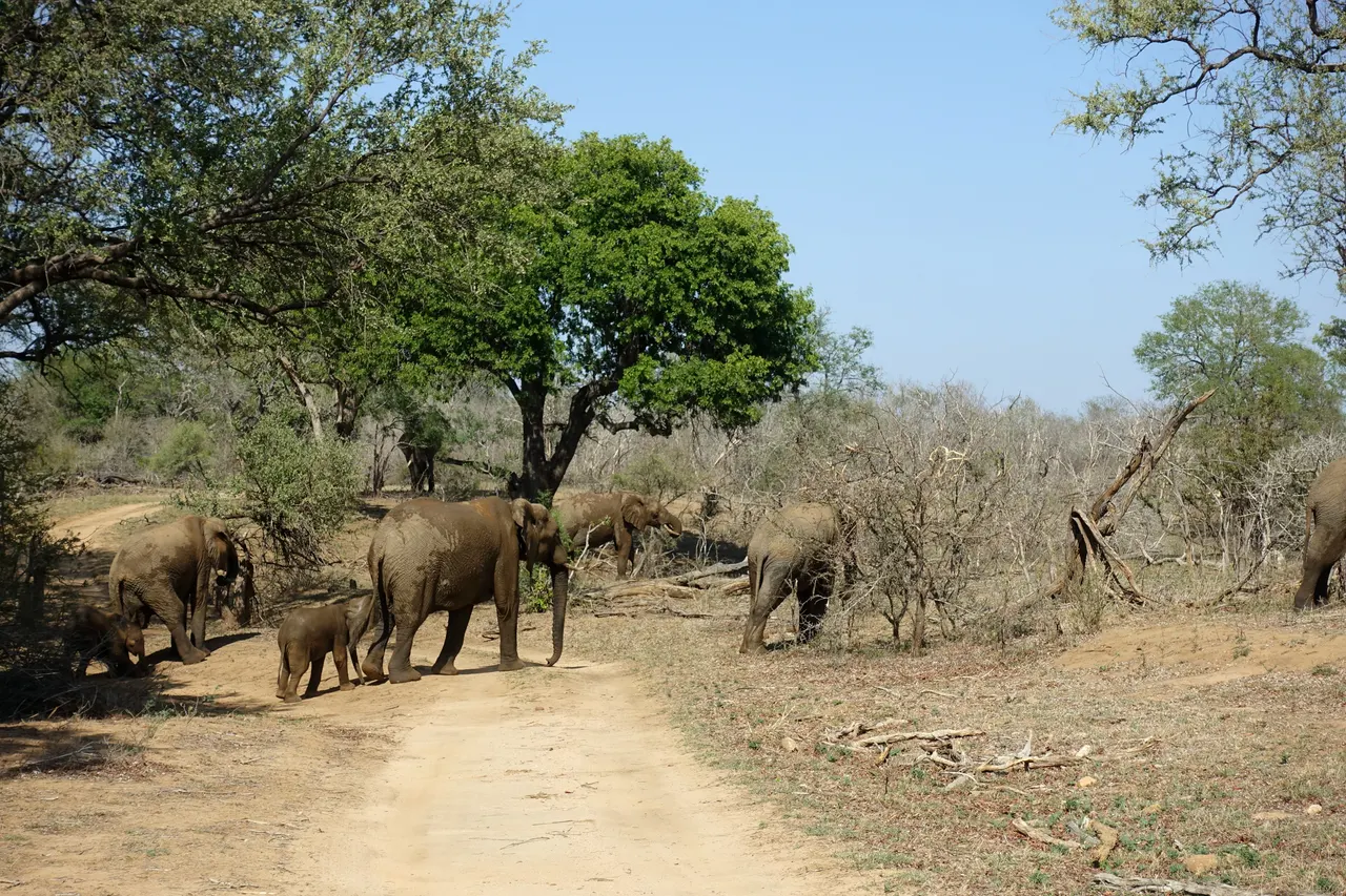 South Africa 2018