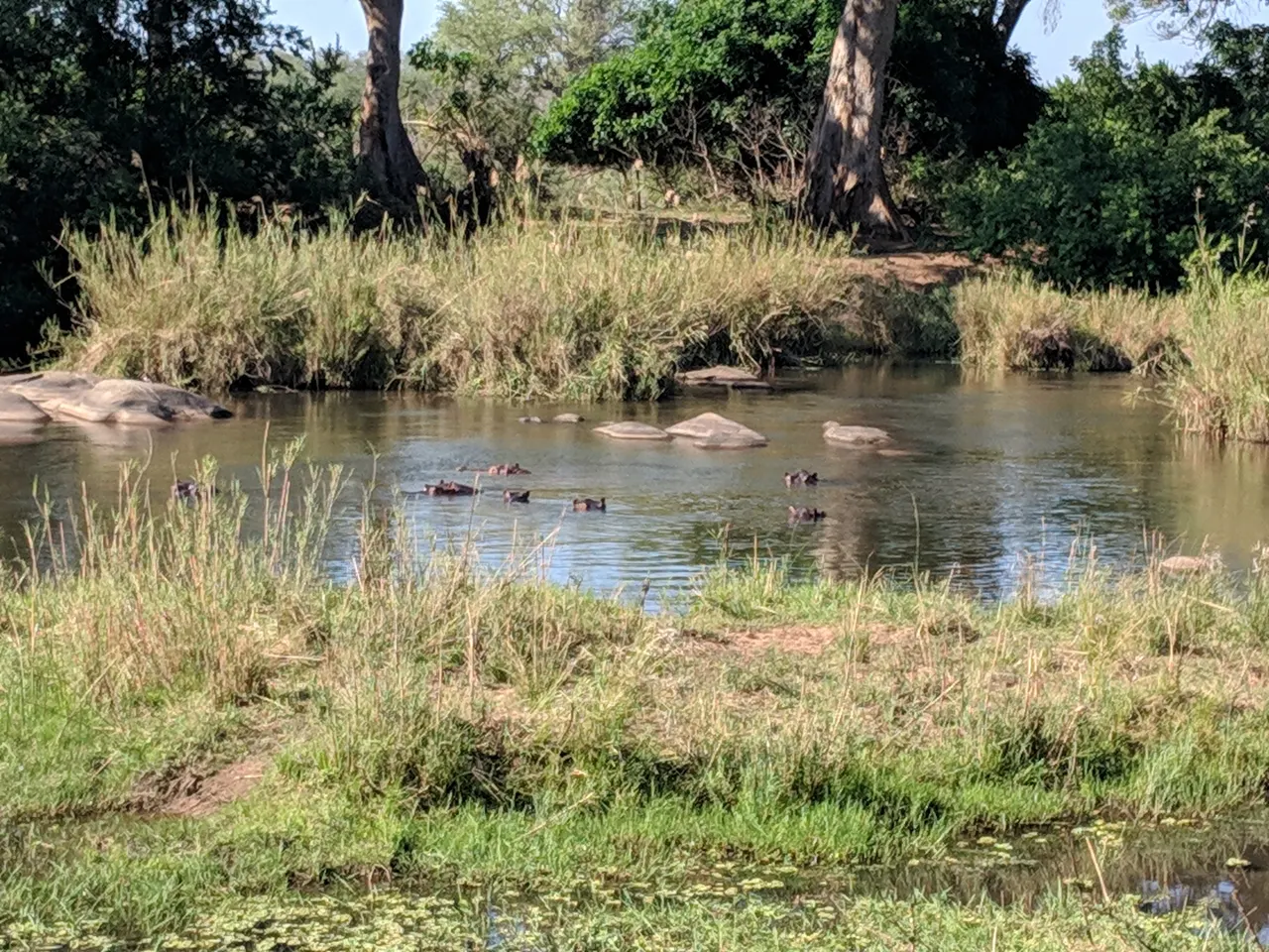 South Africa 2018