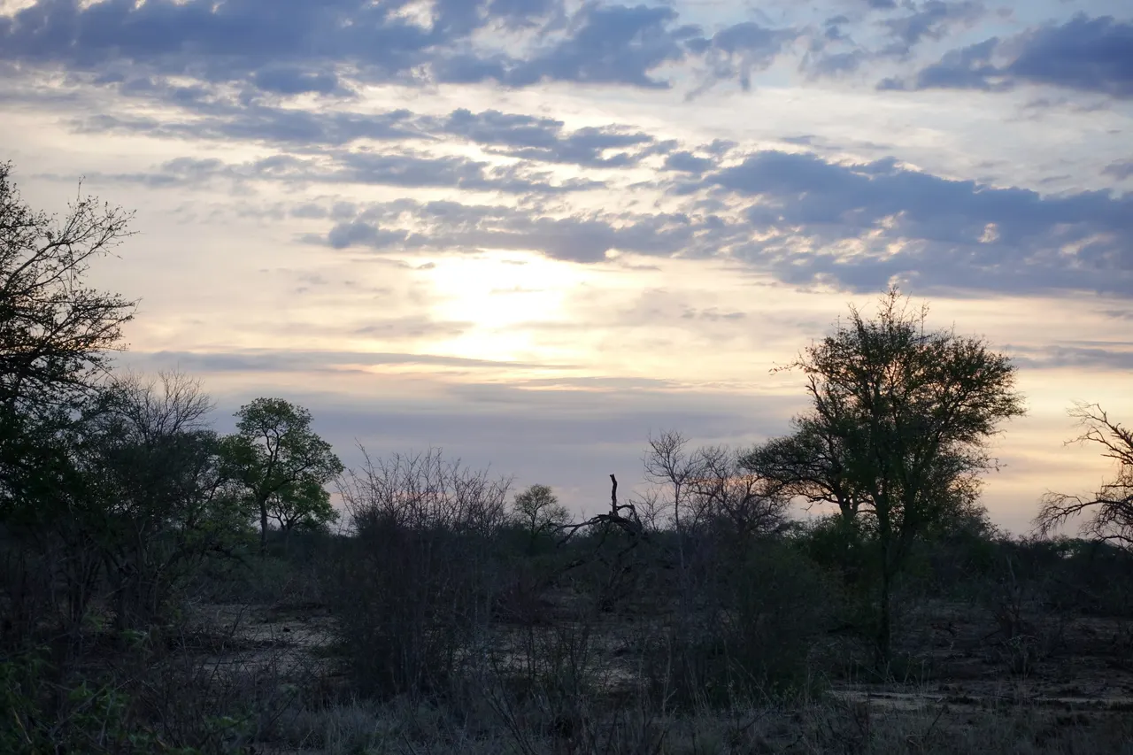 South Africa 2018
