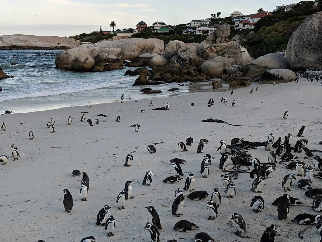 South Africa 2018