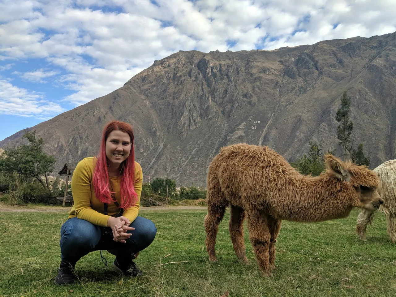 Trip to Peru