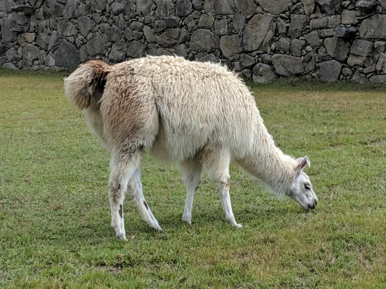 Trip to Peru