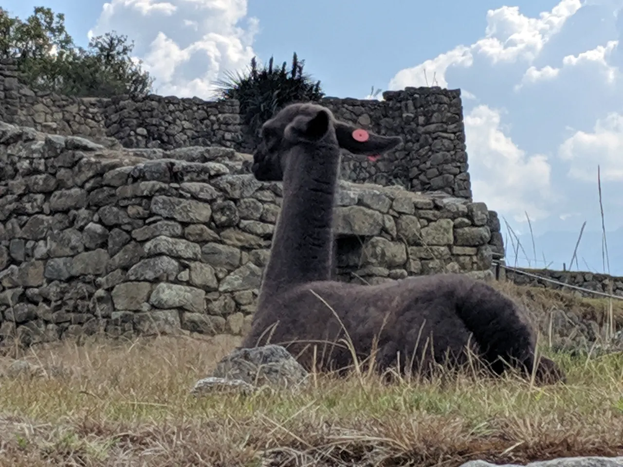 Trip to Peru