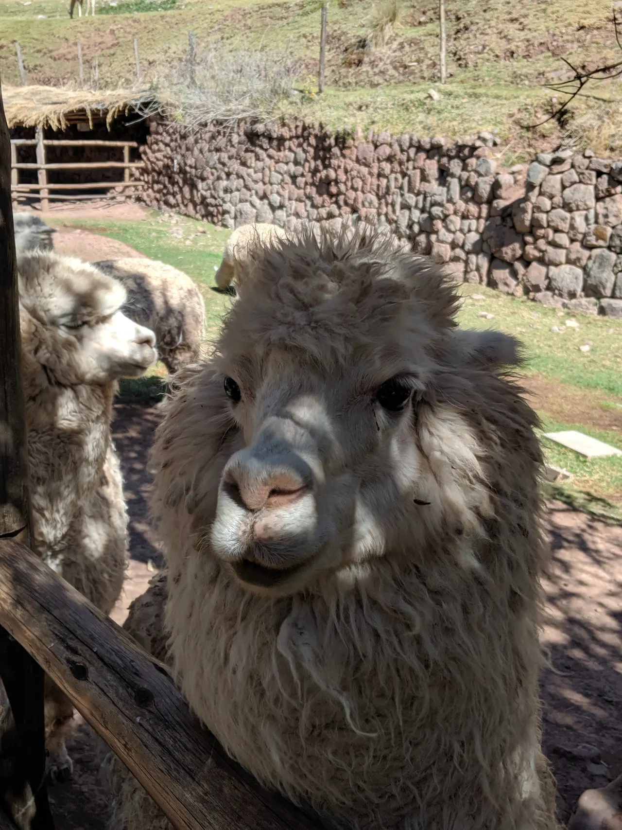 Trip to Peru